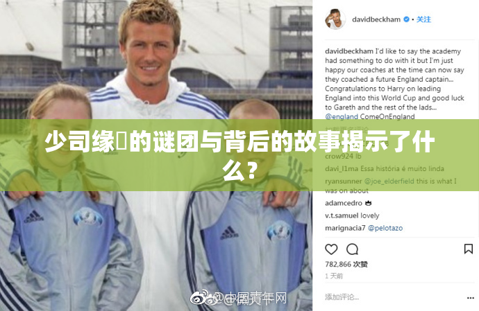 少司缘婬的谜团与背后的故事揭示了什么？