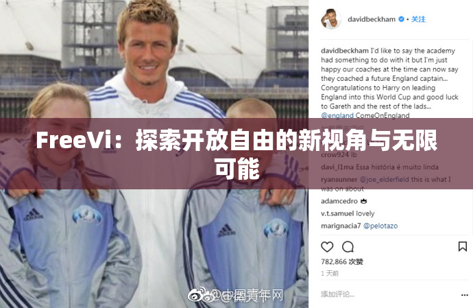 FreeVi：探索开放自由的新视角与无限可能