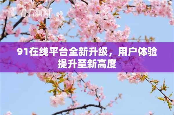 91在线平台全新升级，用户体验提升至新高度