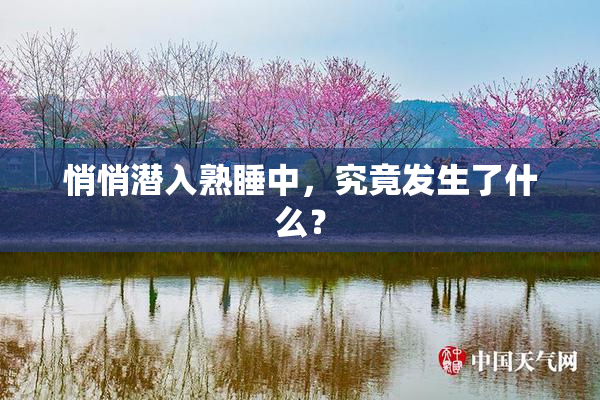悄悄潜入熟睡中，究竟发生了什么？