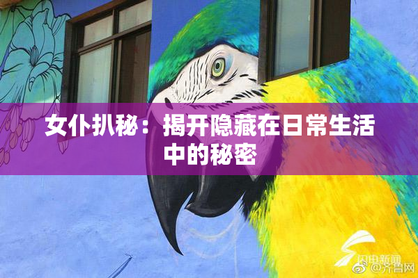 女仆扒秘：揭开隐藏在日常生活中的秘密