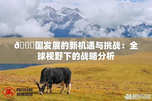 🔞国发展的新机遇与挑战：全球视野下的战略分析