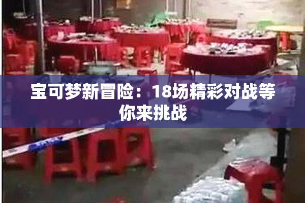 宝可梦新冒险：18场精彩对战等你来挑战