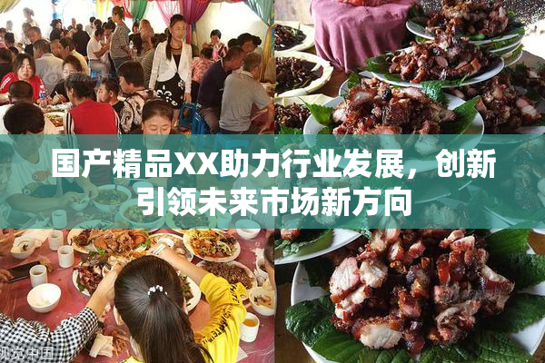 国产精品XX助力行业发展，创新引领未来市场新方向