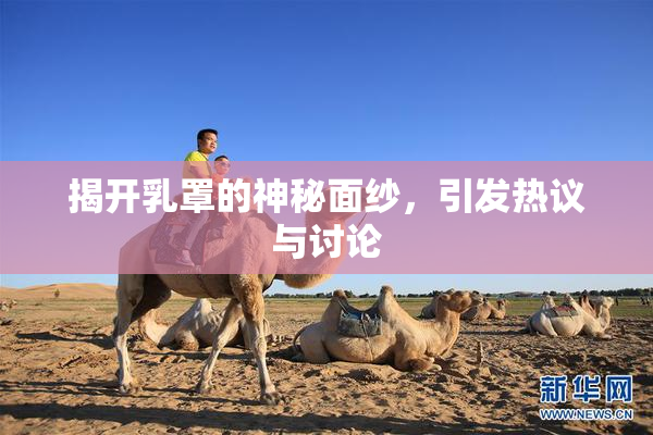 揭开乳罩的神秘面纱，引发热议与讨论