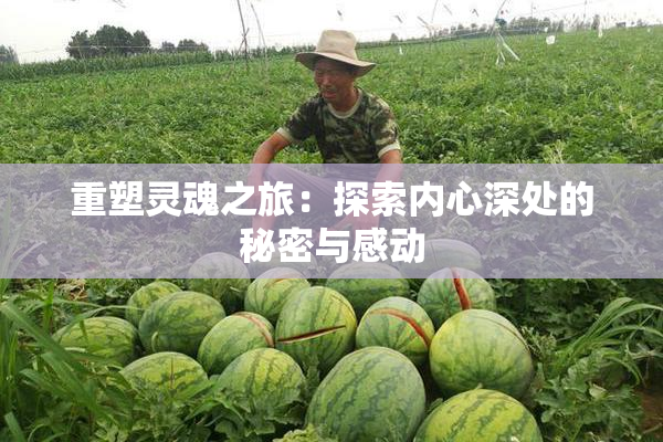 重塑灵魂之旅：探索内心深处的秘密与感动
