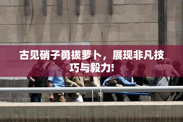 古见硝子勇拔萝卜，展现非凡技巧与毅力!