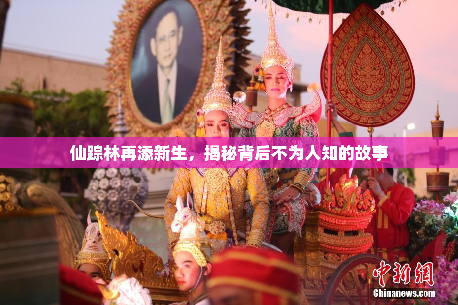 仙踪林再添新生，揭秘背后不为人知的故事