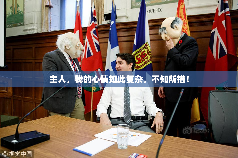 主人，我的心情如此复杂，不知所措！