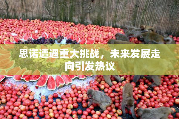 思诺遭遇重大挑战，未来发展走向引发热议