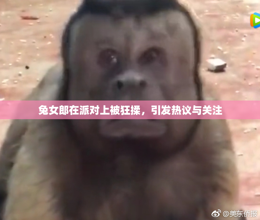 兔女郎在派对上被狂揉，引发热议与关注