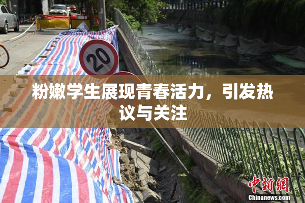 粉嫩学生展现青春活力，引发热议与关注