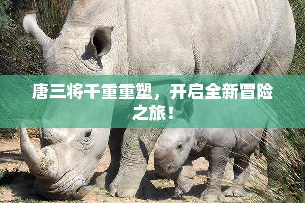 唐三将千重重塑，开启全新冒险之旅！