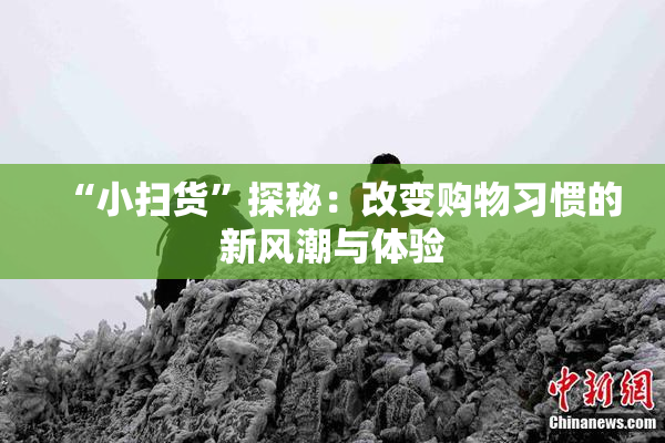 “小扫货”探秘：改变购物习惯的新风潮与体验
