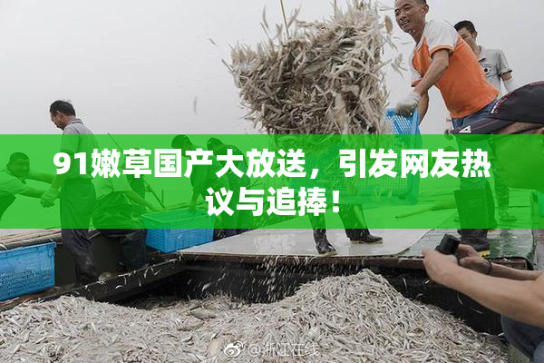 91嫩草国产大放送，引发网友热议与追捧！