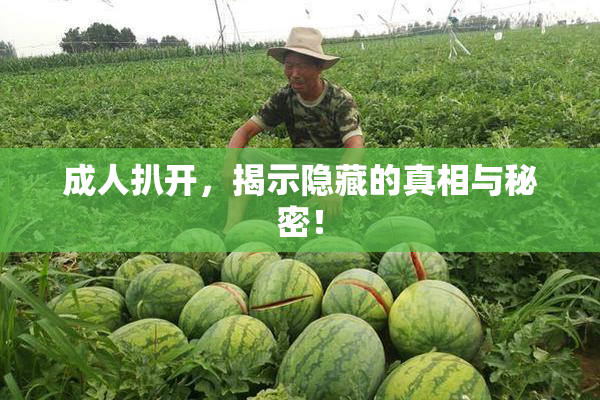 成人扒开，揭示隐藏的真相与秘密！