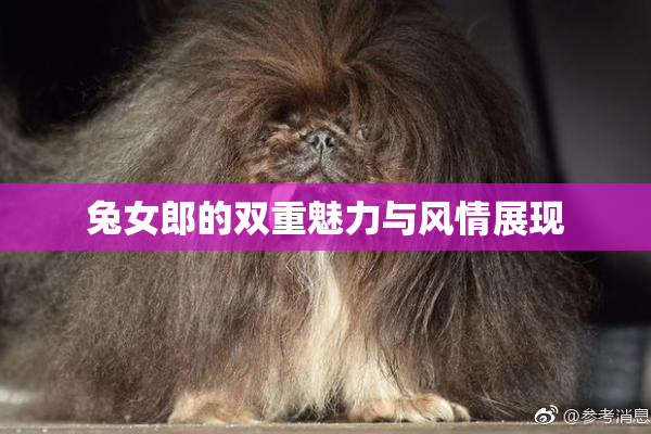 兔女郎的双重魅力与风情展现