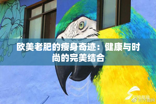 欧美老肥的瘦身奇迹：健康与时尚的完美结合