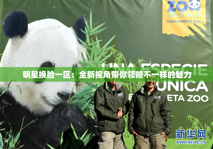 明星换脸一区：全新视角带你领略不一样的魅力