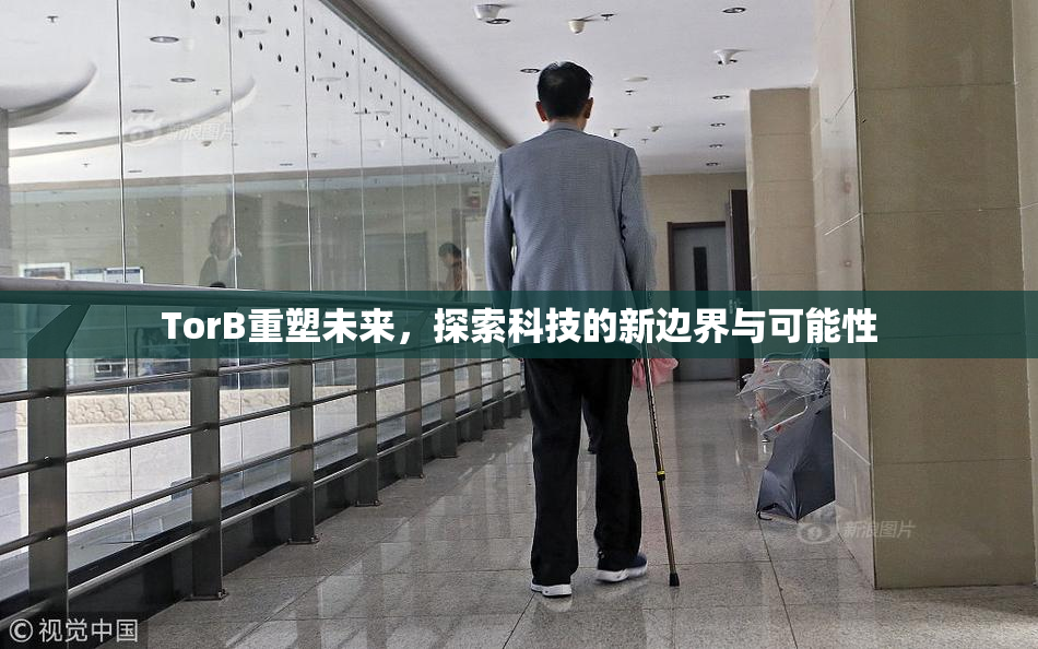 TorB重塑未来，探索科技的新边界与可能性
