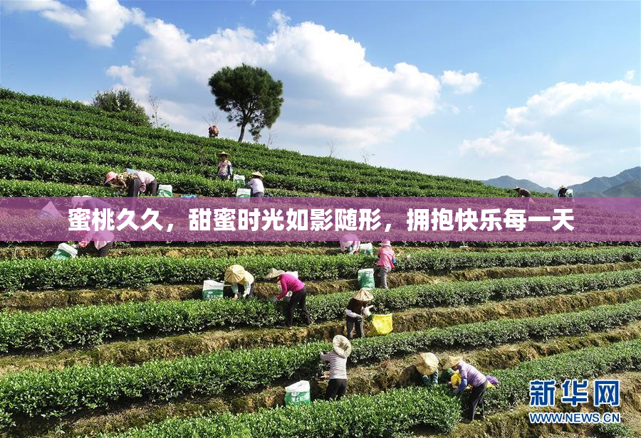 蜜桃久久，甜蜜时光如影随形，拥抱快乐每一天