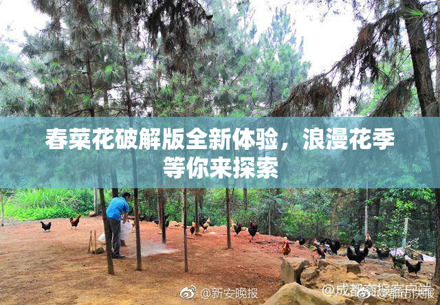 春菜花破解版全新体验，浪漫花季等你来探索