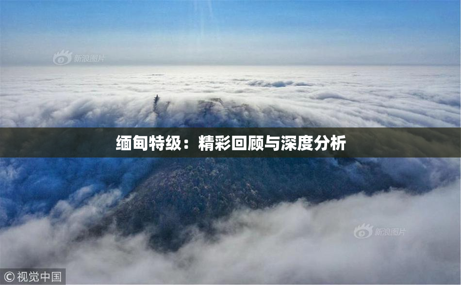 缅甸特级：精彩回顾与深度分析