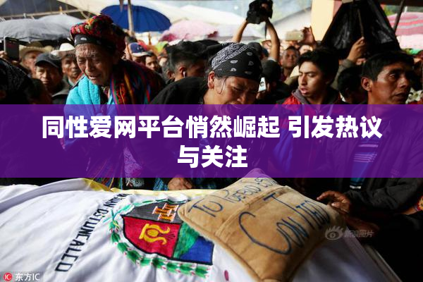 同性爱网平台悄然崛起 引发热议与关注
