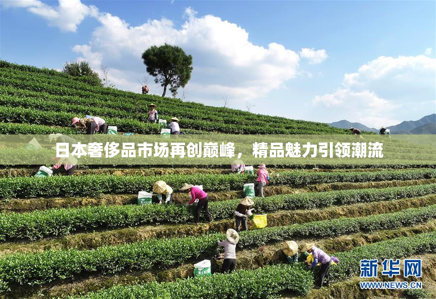 日本奢侈品市场再创巅峰，精品魅力引领潮流