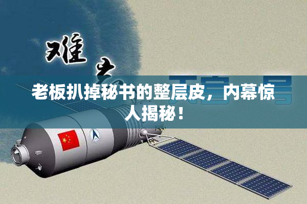 老板扒掉秘书的整层皮，内幕惊人揭秘！