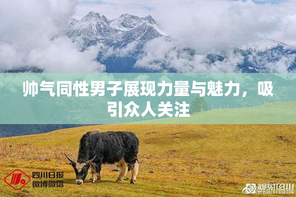帅气同性男子展现力量与魅力，吸引众人关注