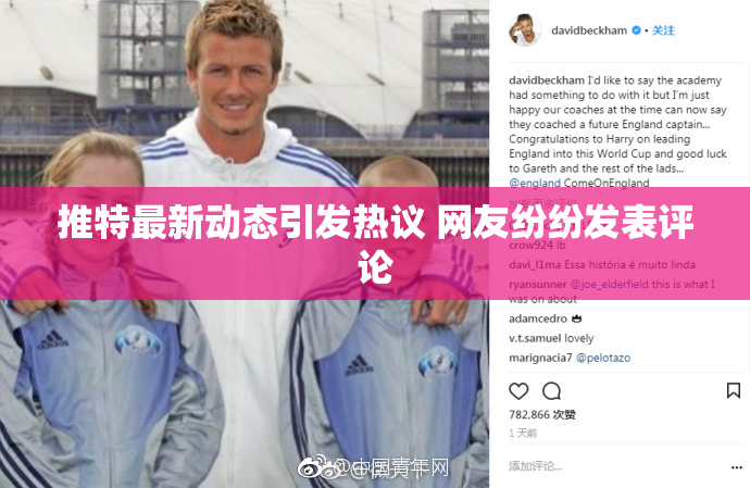 推特最新动态引发热议 网友纷纷发表评论