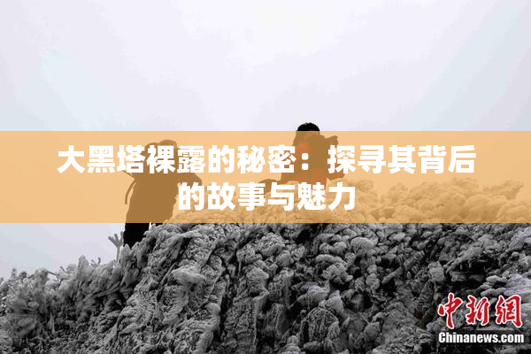 大黑塔裸露的秘密：探寻其背后的故事与魅力