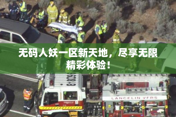 无码人妖一区新天地，尽享无限精彩体验！