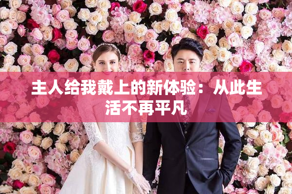 主人给我戴上的新体验：从此生活不再平凡