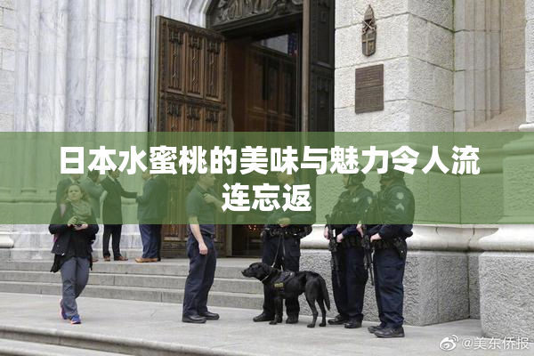 日本水蜜桃的美味与魅力令人流连忘返