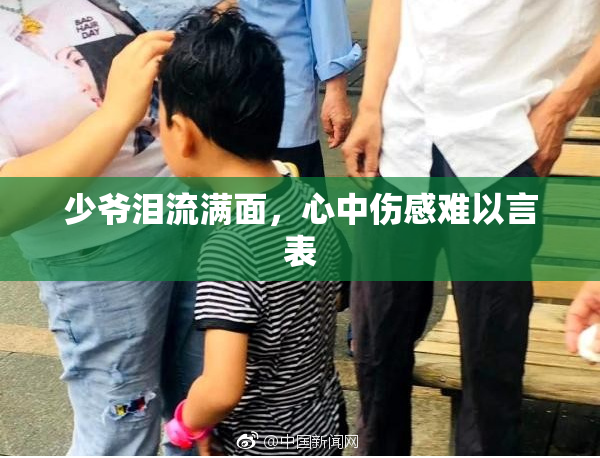 少爷泪流满面，心中伤感难以言表