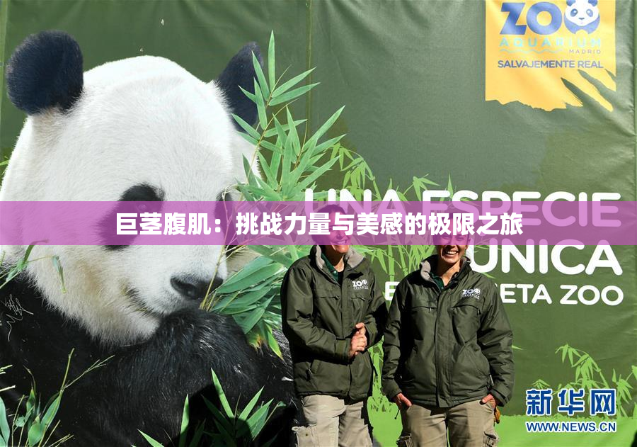 巨茎腹肌：挑战力量与美感的极限之旅