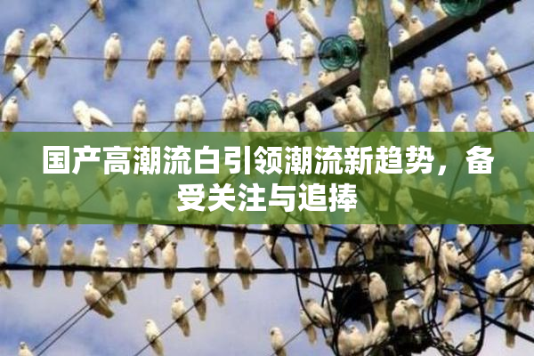 国产高潮流白引领潮流新趋势，备受关注与追捧