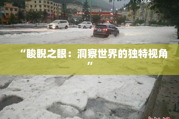 “睃睨之眼：洞察世界的独特视角”