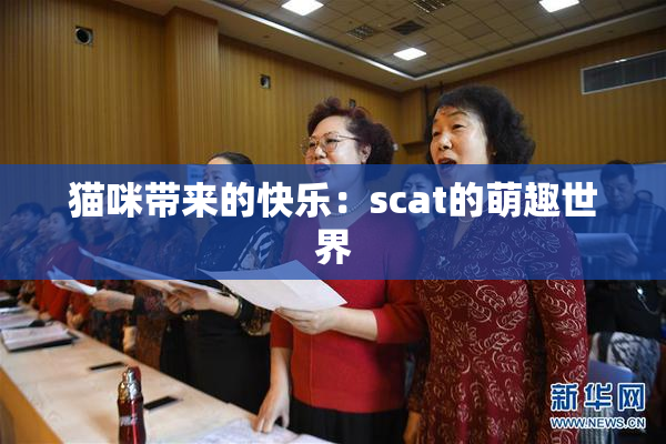 猫咪带来的快乐：scat的萌趣世界