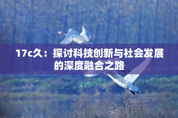 17c久：探讨科技创新与社会发展的深度融合之路