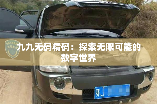 九九无码精码：探索无限可能的数字世界