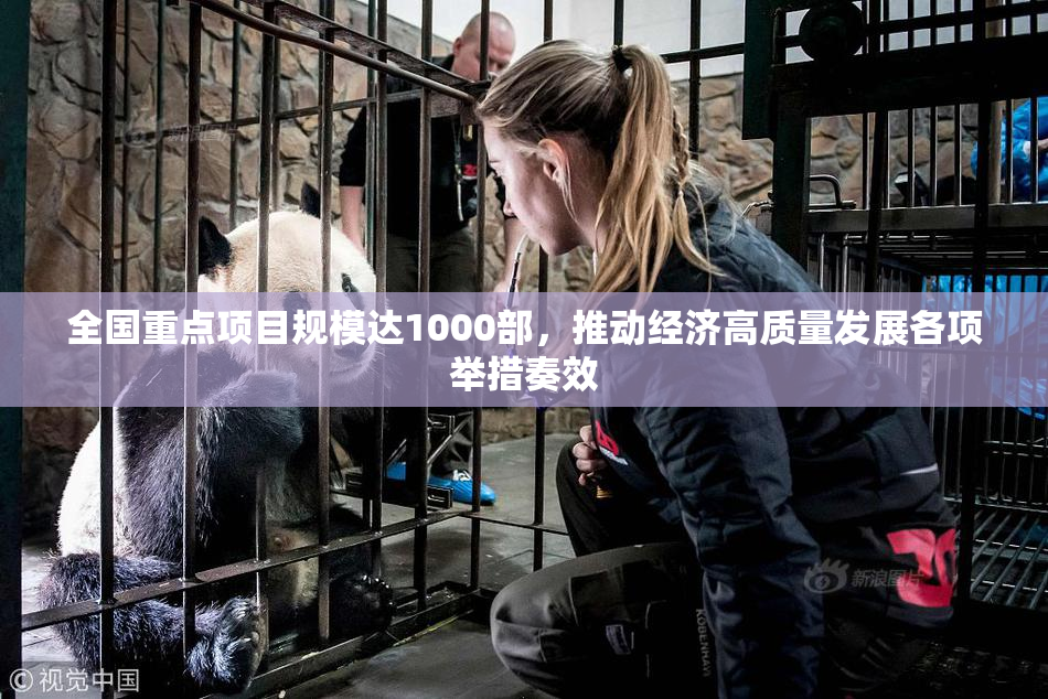 全国重点项目规模达1000部，推动经济高质量发展各项举措奏效