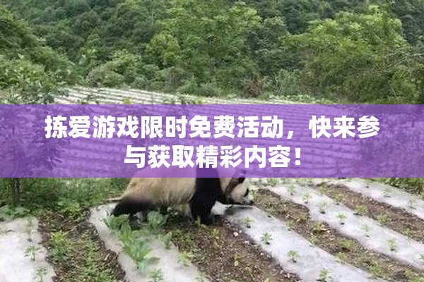 拣爱游戏限时免费活动，快来参与获取精彩内容！