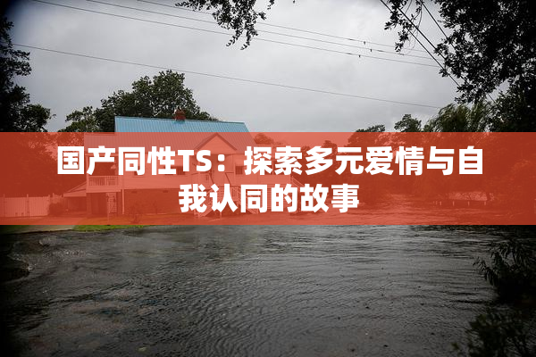 国产同性TS：探索多元爱情与自我认同的故事
