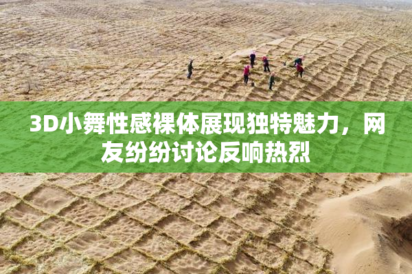 3D小舞性感裸体展现独特魅力，网友纷纷讨论反响热烈