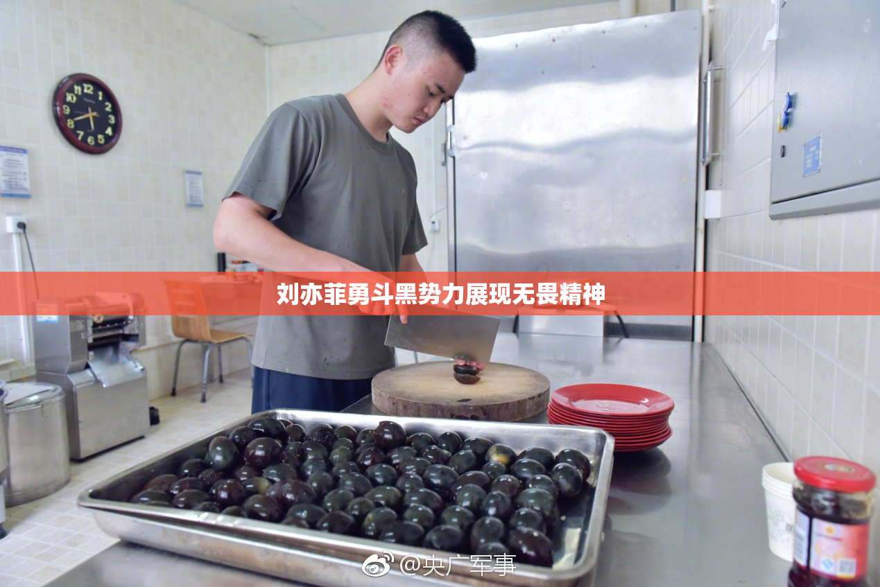 刘亦菲勇斗黑势力展现无畏精神