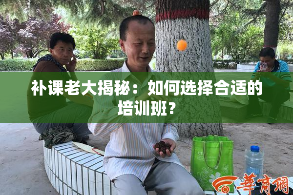 补课老大揭秘：如何选择合适的培训班？