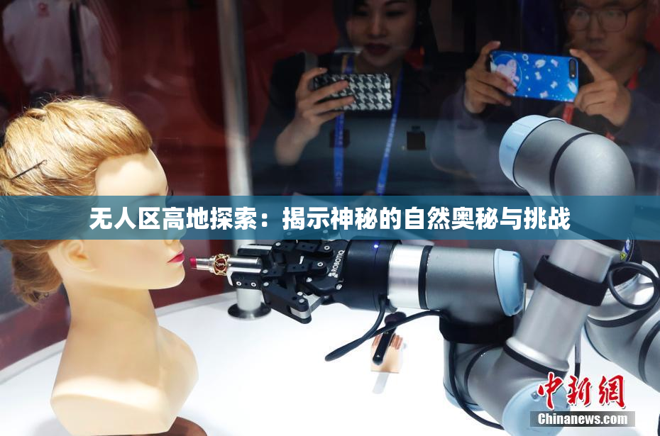 无人区高地探索：揭示神秘的自然奥秘与挑战